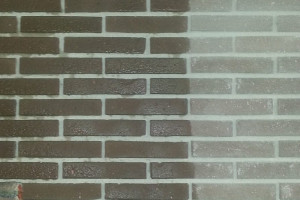 limpieza-de-paredes-selym